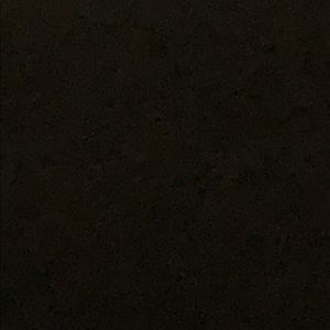 Meet your Posher, Sana